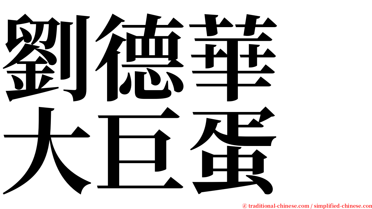 劉德華　大巨蛋 serif font